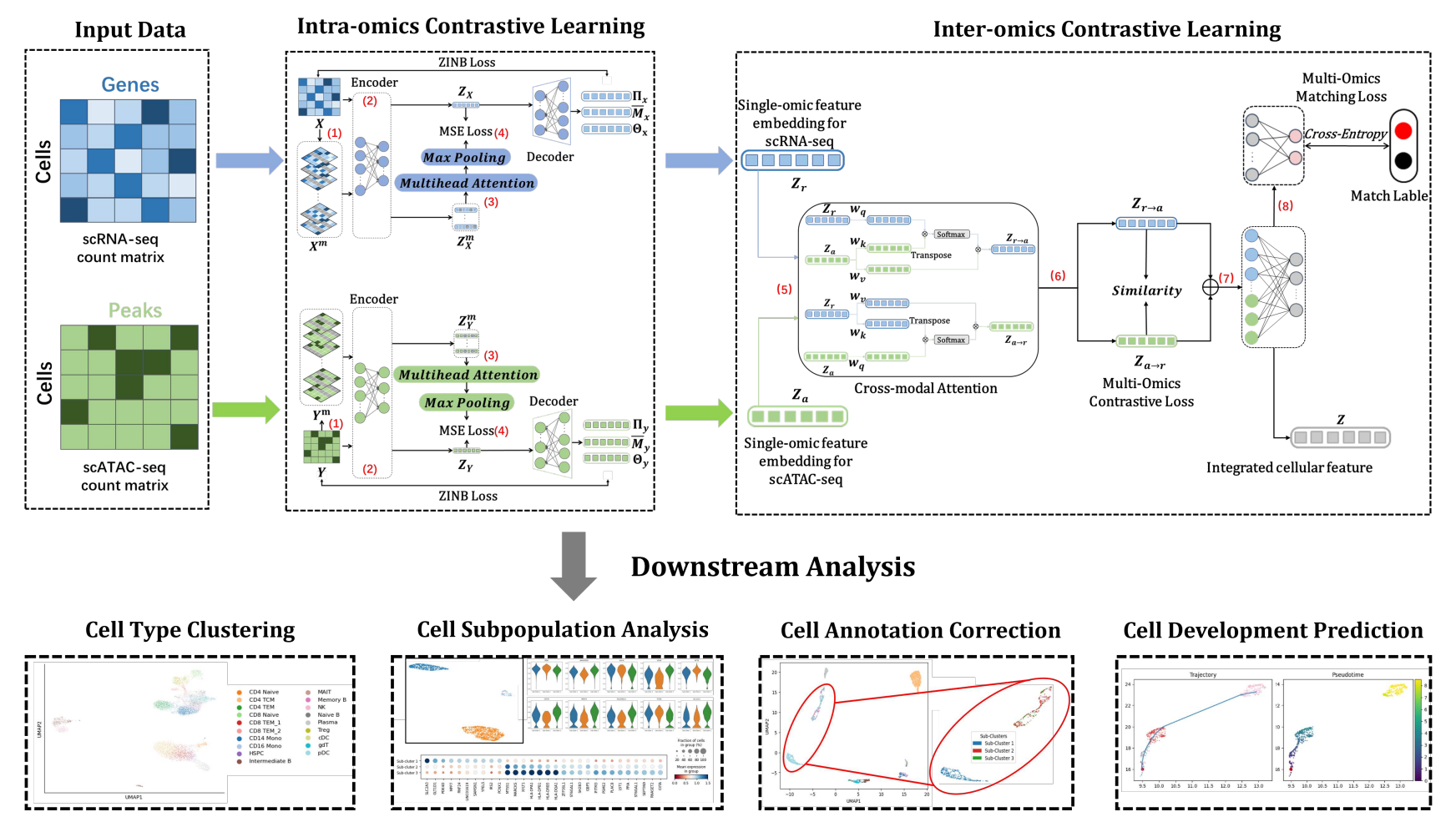 scI2CL: Effectively fusing single-cell multi-omics by intra- and inter-omics contrastive learning