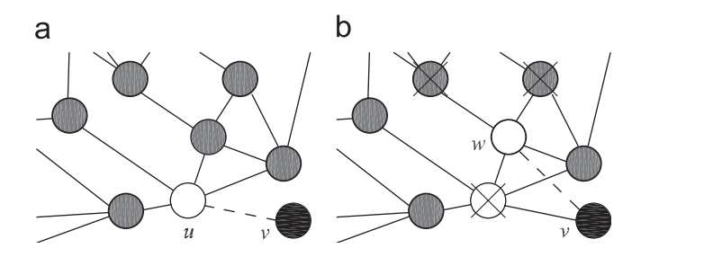 Local-world evolving networks with tunable clustering