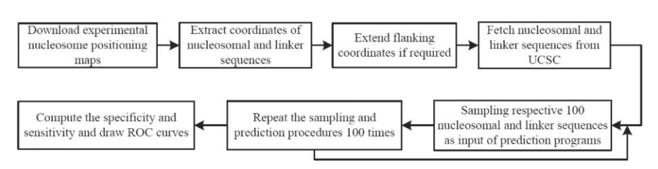 A comparative evaluation on prediction methods of nucleosome positioning