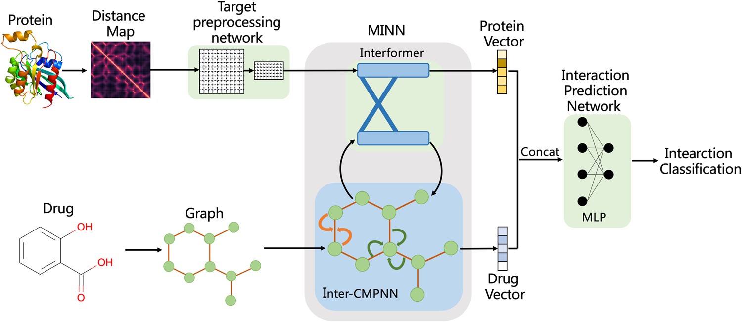 Effective drug–target interaction prediction with mutual interaction neural network