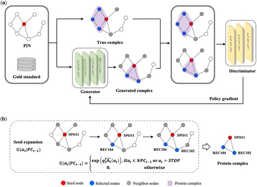 PCGAN: a generative approach for protein complex identification from protein interaction networks