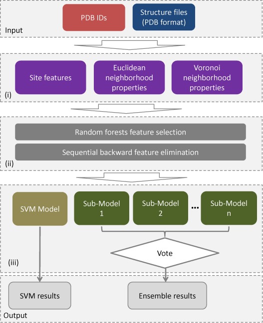 PredHS: a web server for predicting protein–protein interaction hot spots by using structural neighborhood properties