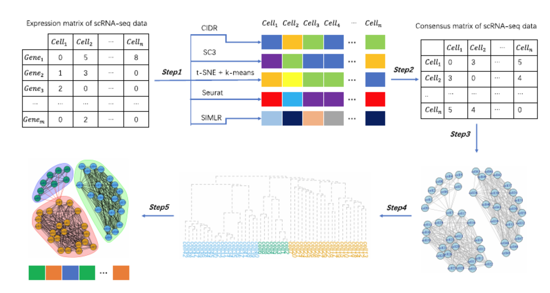 GRACE: A Graph-Based Cluster Ensemble Approach for Single-Cell RNA-Seq Data Clustering