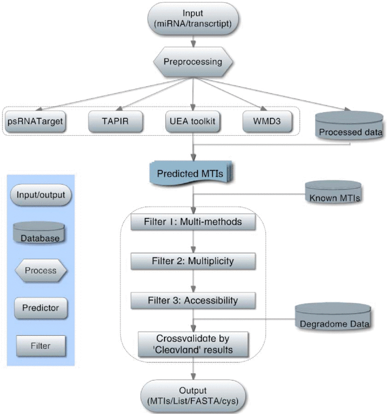 imiRTP: An Integrated Method to Identifying miRNA-target Interactions in Arabidopsis thaliana