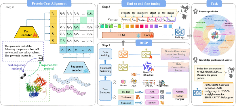 BioBridge: Bridging Proteins and Language for Enhanced Biological Reasoning with LLMs