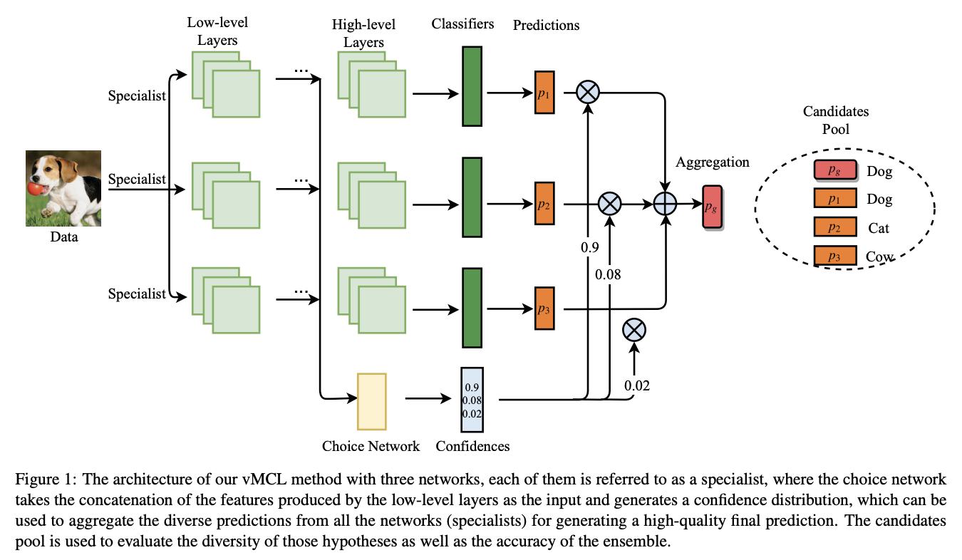 Versatile Multiple Choice Learning and Its Application to Vision Computing