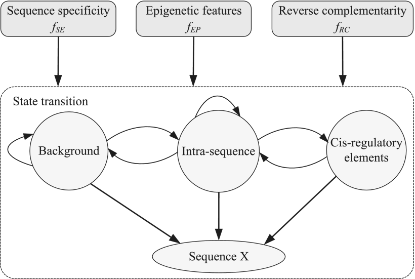 Identifying Cis-Regulatory Elements and Modules Using Conditional Random Fields