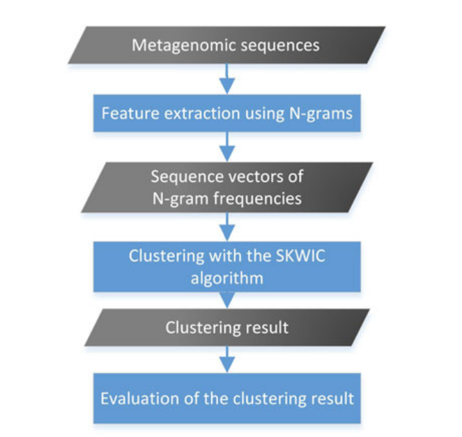 A New Unsupervised Binning Approach for Metagenomic Sequences Based on N-grams and Automatic Feature Weighting