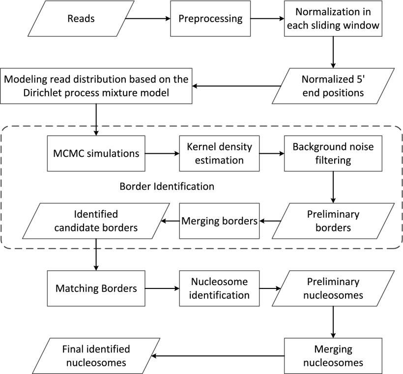 DPNuc: Identifying Nucleosome Positions Based on the Dirichlet Process Mixture Model