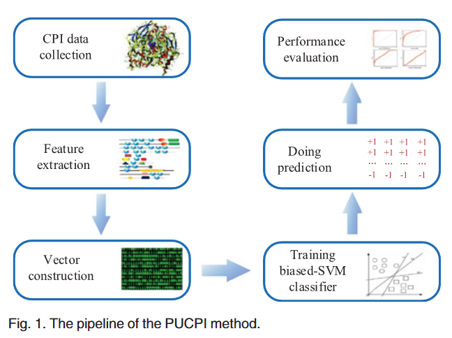 Effectively Identifying Compound-Protein Interactions by Learning from Positive and Unlabeled Examples