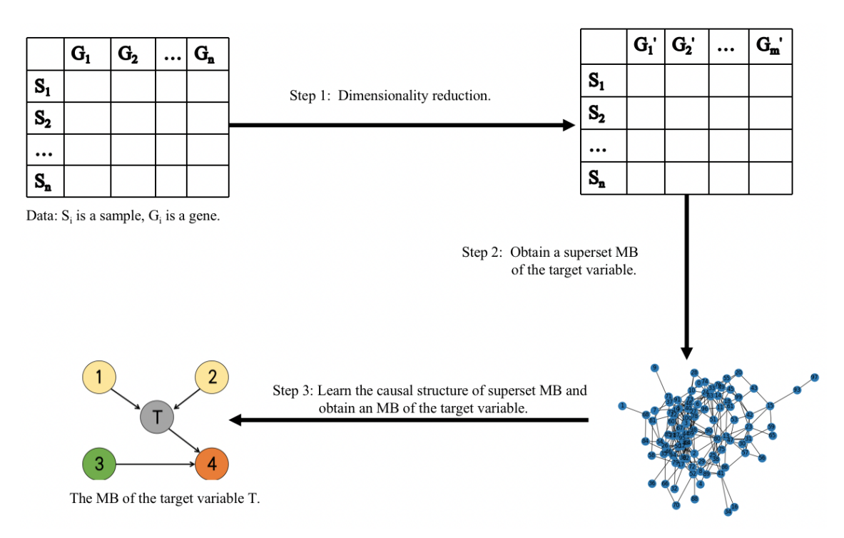 Hybrid Causal Feature Selection for Cancer Biomarker Identification From RNA-Seq Data