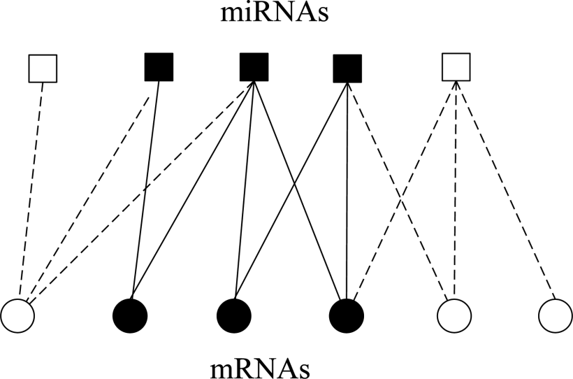 Identifying Mammalian MicroRNA Targets Based on Supervised Distance Metric Learning