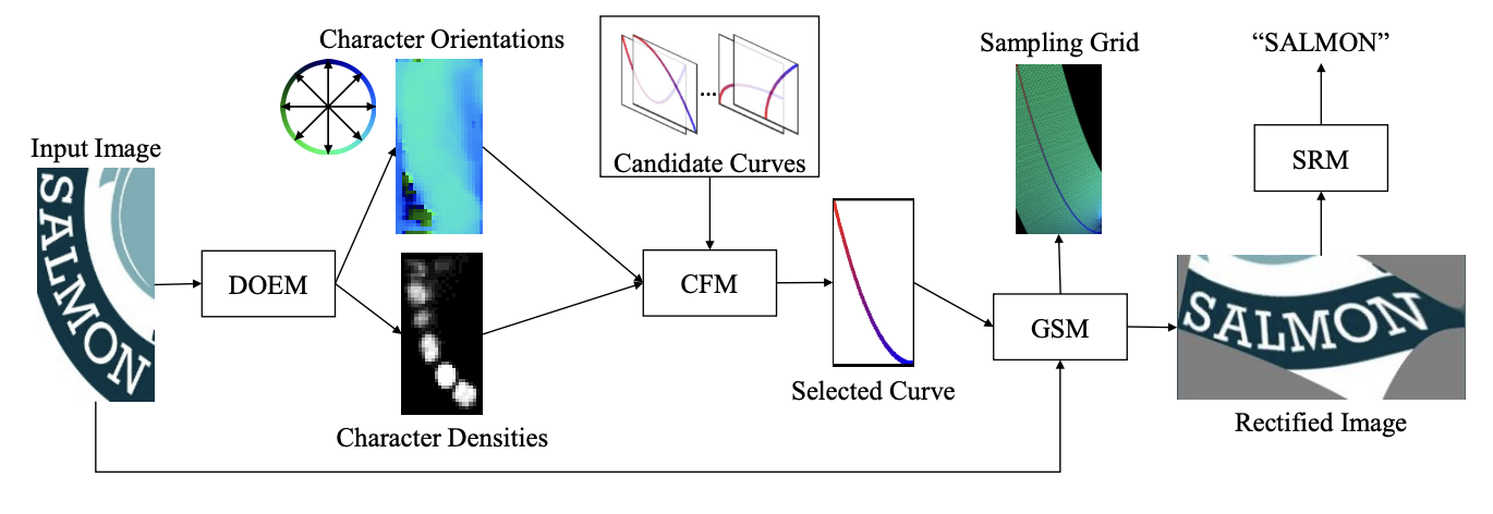 Robustly Recognizing Irregular Scene Text by Rectifying Principle Irregularities