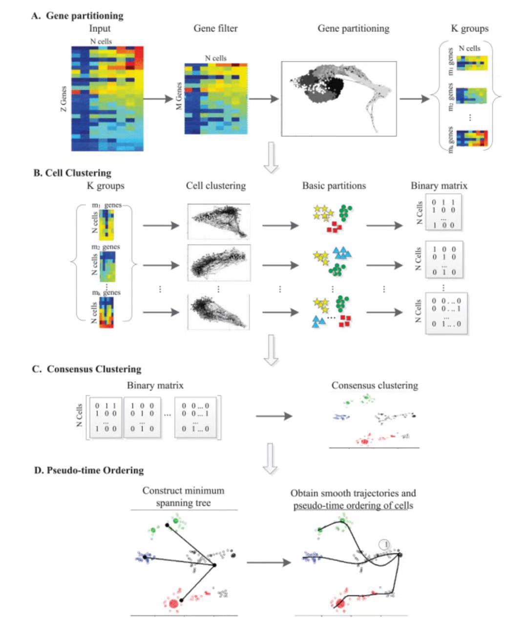 TiC2D: Trajectory Inference From Single-Cell RNA-Seq Data Using Consensus Clustering