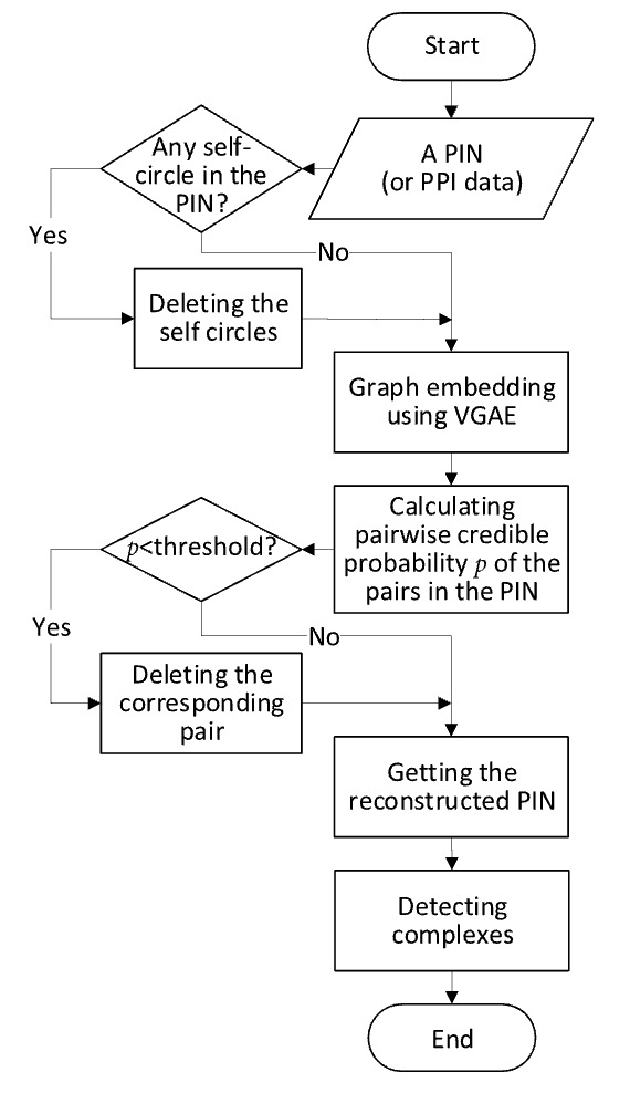 Denoising Protein–Protein interaction network via variational graph auto-encoder for protein complex detection