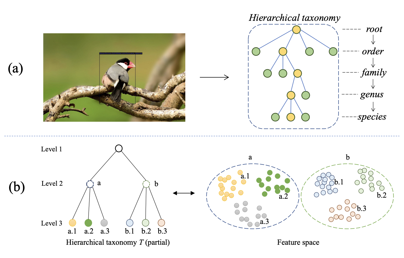 Hierarchical Few-Shot Object Detection