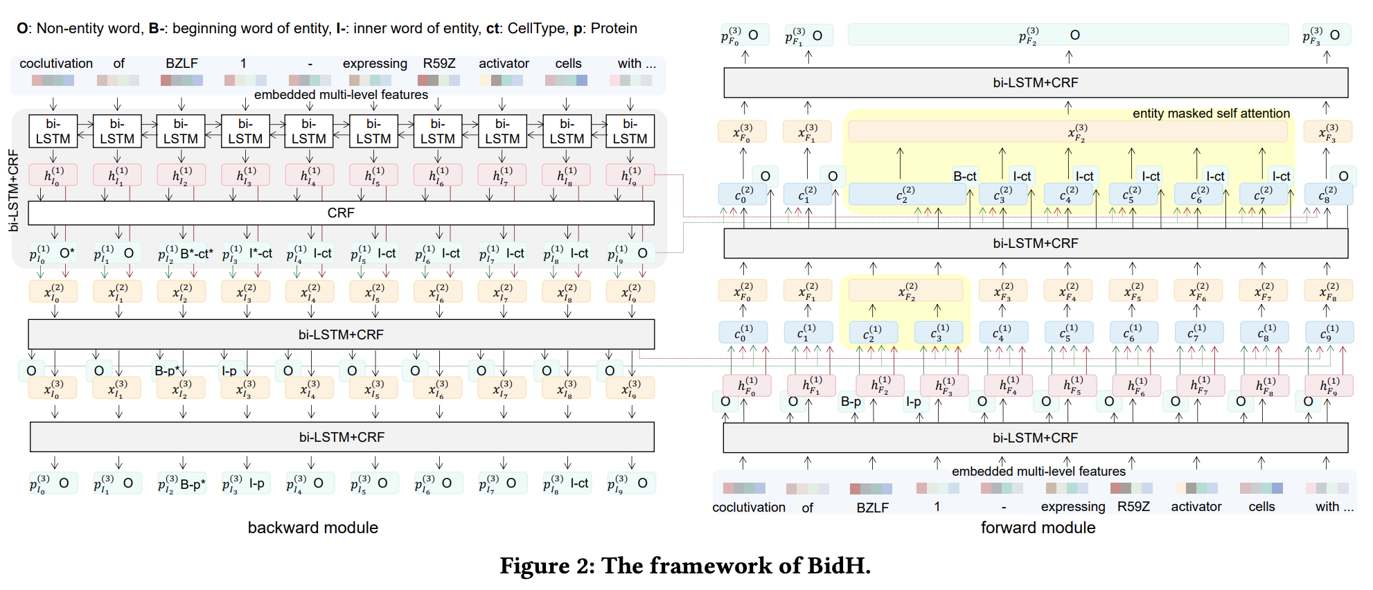 BidH: A Bidirectional Hierarchical Model for Nested Named Entity Recognition