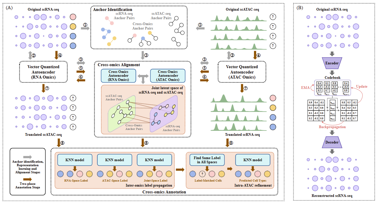 Effective and Robust Single-cell Cross-omics Annotation via Vector-Quantized Autoencoders