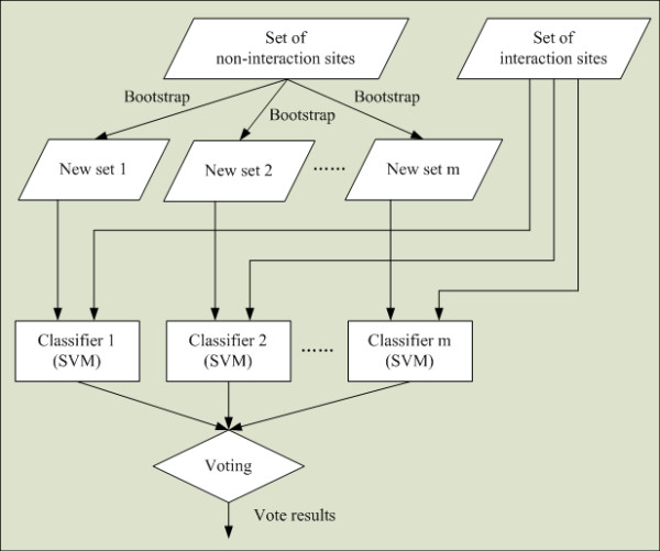 Prediction of protein-protein interaction sites using an ensemble method