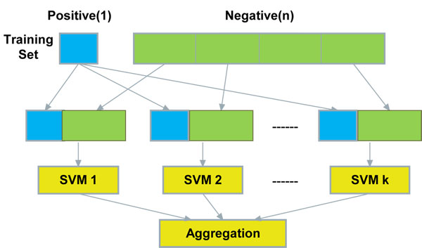 MiRenSVM: towards better prediction of microRNA precursors using an ensemble SVM classifier with multi-loop features