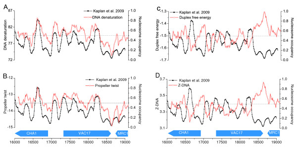 Structural features based genome-wide characterization and prediction of nucleosome organization