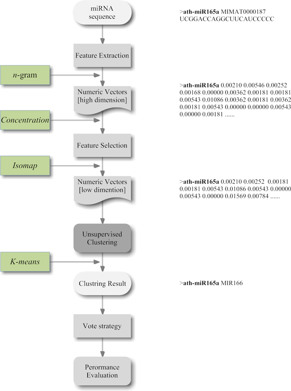 Automatically clustering large-scale miRNA sequences: methods and experiments