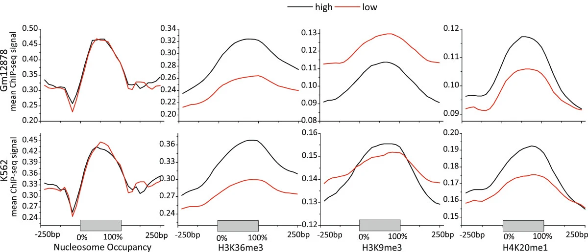 Histone modifications involved in cassette exon inclusions: a quantitative and interpretable analysis