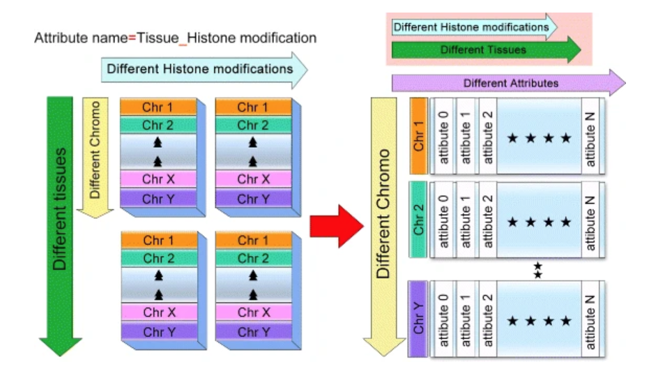 iHMS: a database integrating human histone modification data across developmental stages and tissues