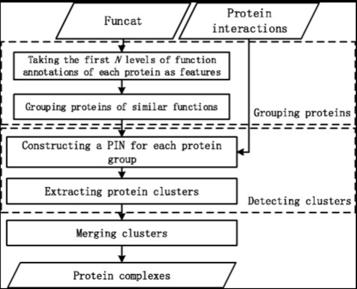 An effective approach to detecting both small and large complexes from protein-protein interaction networks