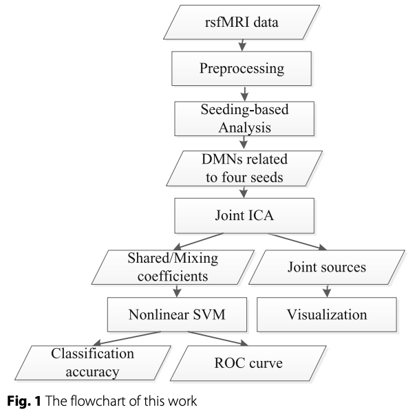 Classifying early and late mild cognitive impairment stages of Alzheimer’s disease by fusing default mode networks extracted with multiple seeds