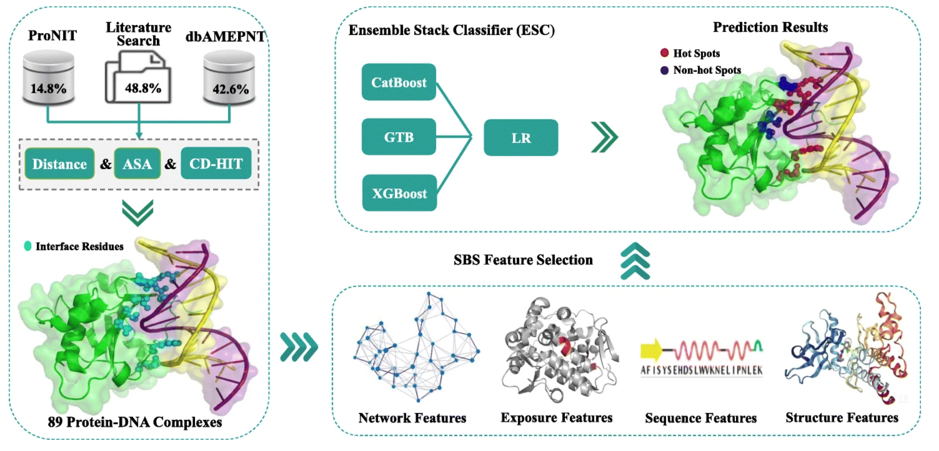 Computationally identifying hot spots in protein-DNA binding interfaces using an ensemble approach