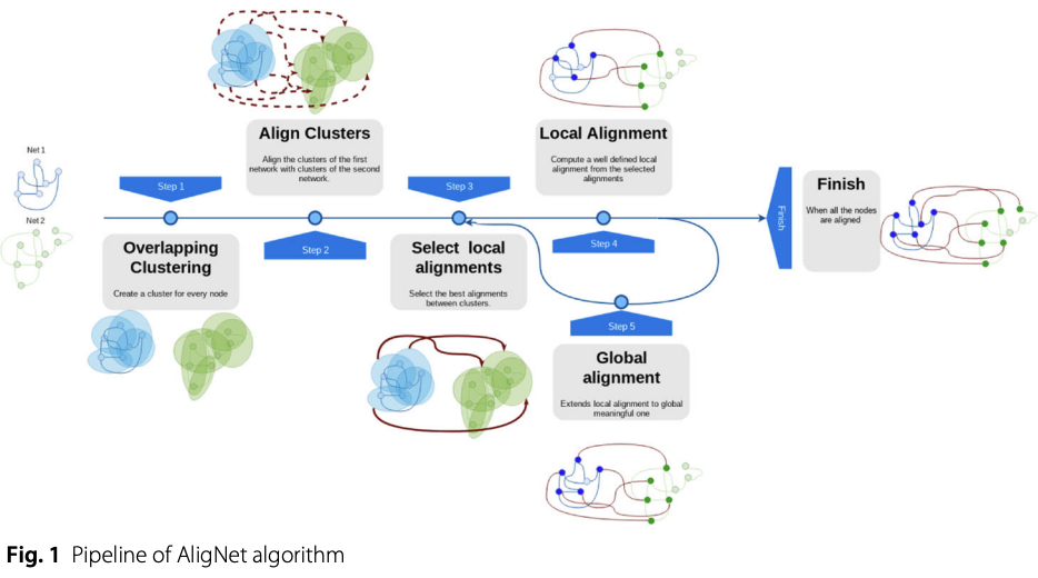 AligNet: alignment of protein-protein interaction networks