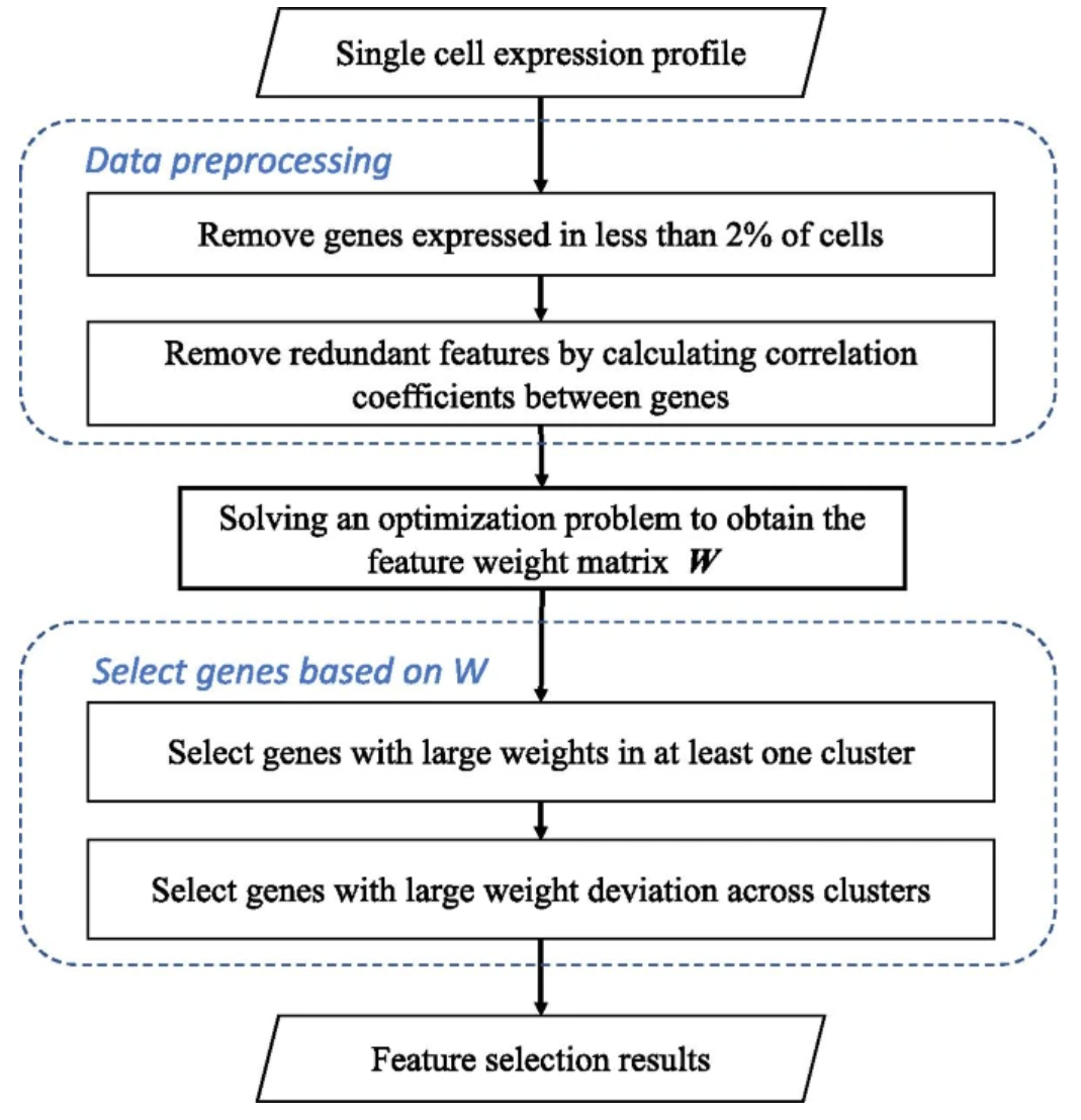 Boosting scRNA-seq data clustering by cluster-aware feature weighting