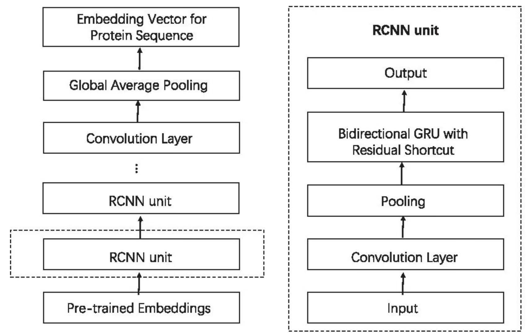 Protein–protein interaction prediction based on ordinal regression and recurrent convolutional neural networks