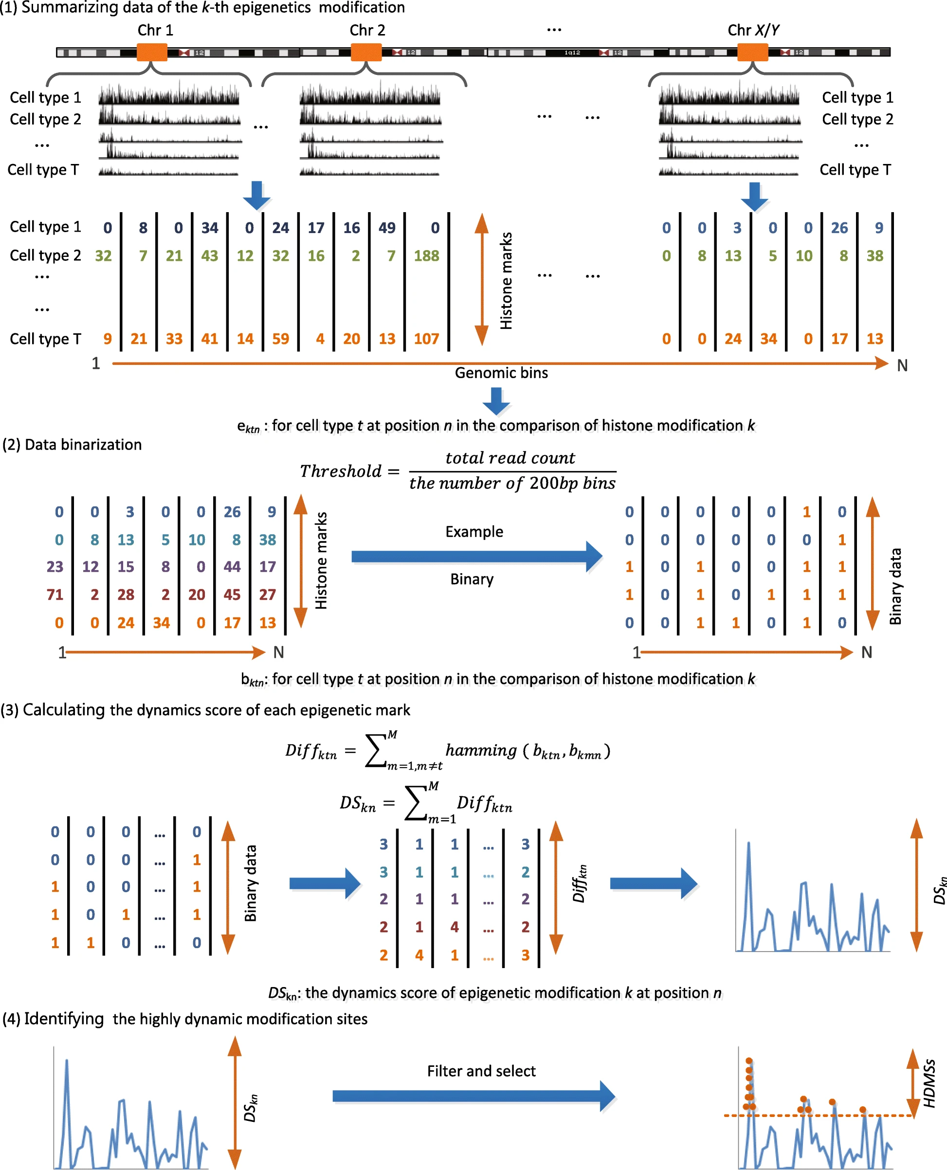 Genome-wide analysis of epigenetic dynamics across human developmental stages and tissues