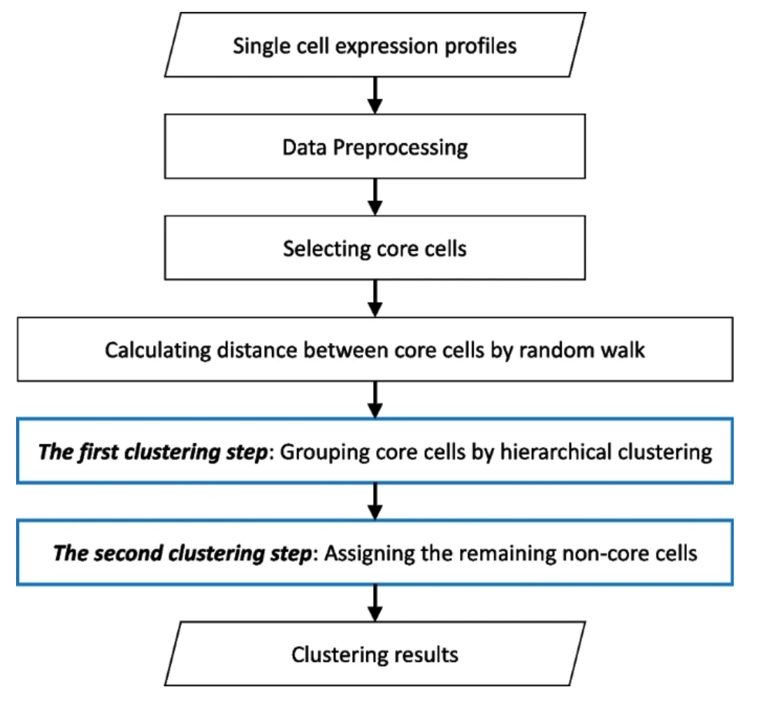 A new and effective two-step clustering approach for single cell RNA sequencing data