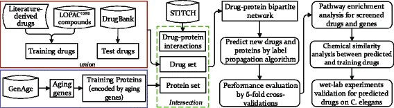 Screening lifespan-extending drugs in Caenorhabditis elegans via label propagation on drug-protein networks