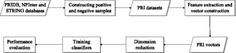 Selecting high-quality negative samples for effectively predicting protein-RNA interactions