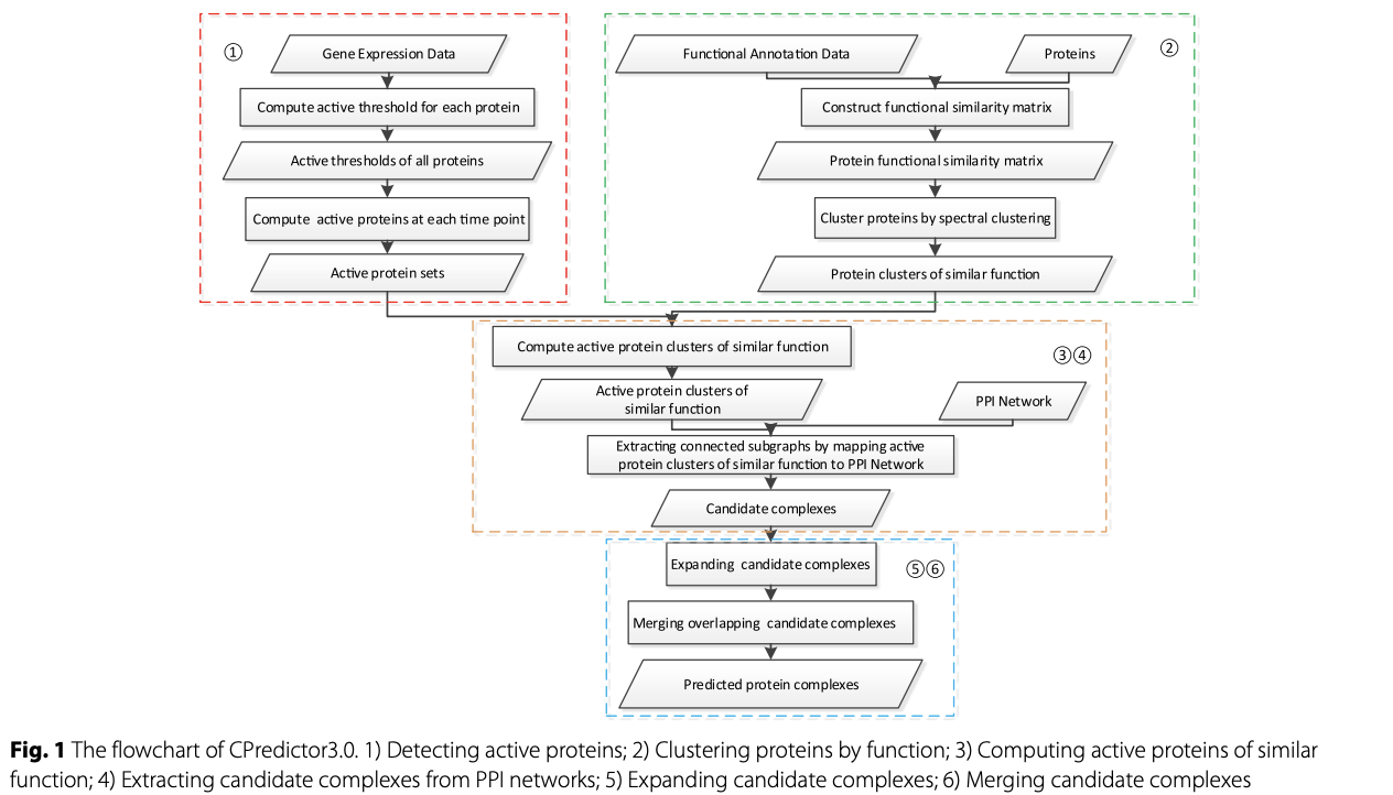 CPredictor3.0: detecting protein complexes from PPI networks with expression data and functional annotations